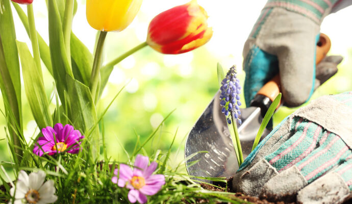 shutterstock_130738766 (1)