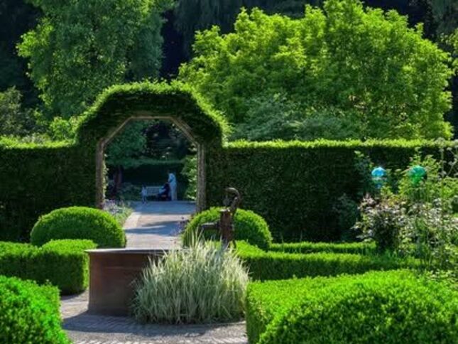 498897753_1249077403892039_6856316525769616271_n