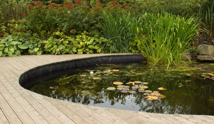 shutterstock_152388776