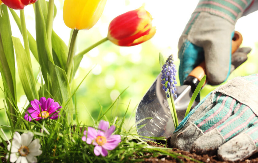 shutterstock_130738766