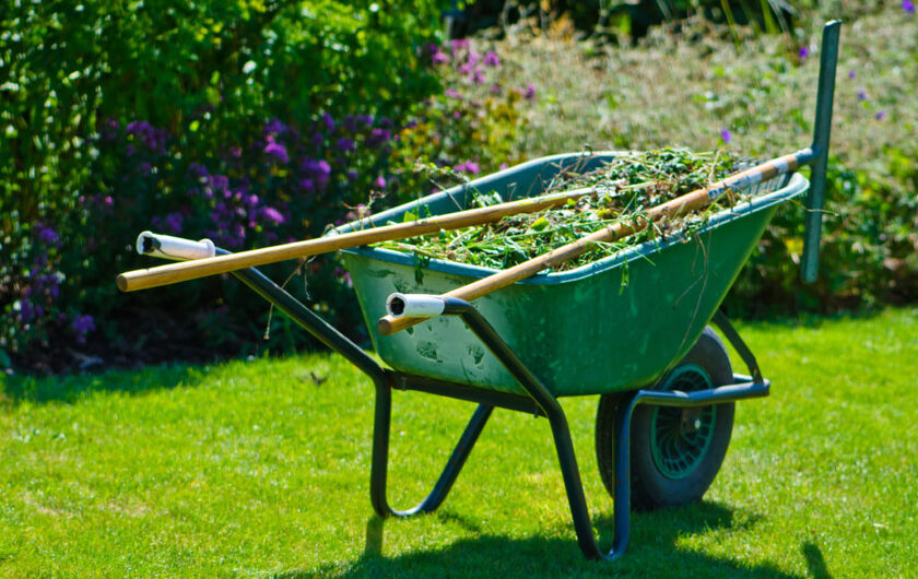 tuinonderhoud