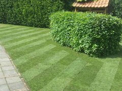 20150522_114452