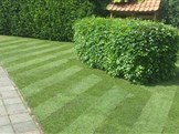 20150522_114452